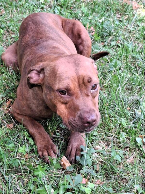 ALMA BELLISSIMA PIT Foto 2